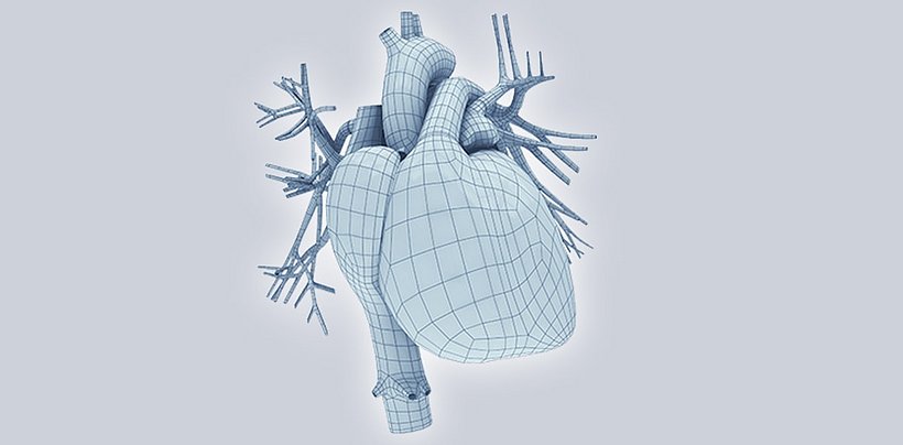 Herz und Kardiologie