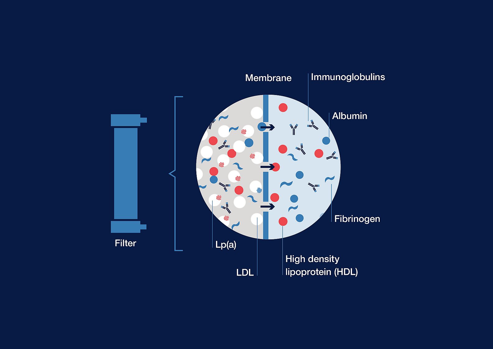 Lipoprotein-Apherese_MONET