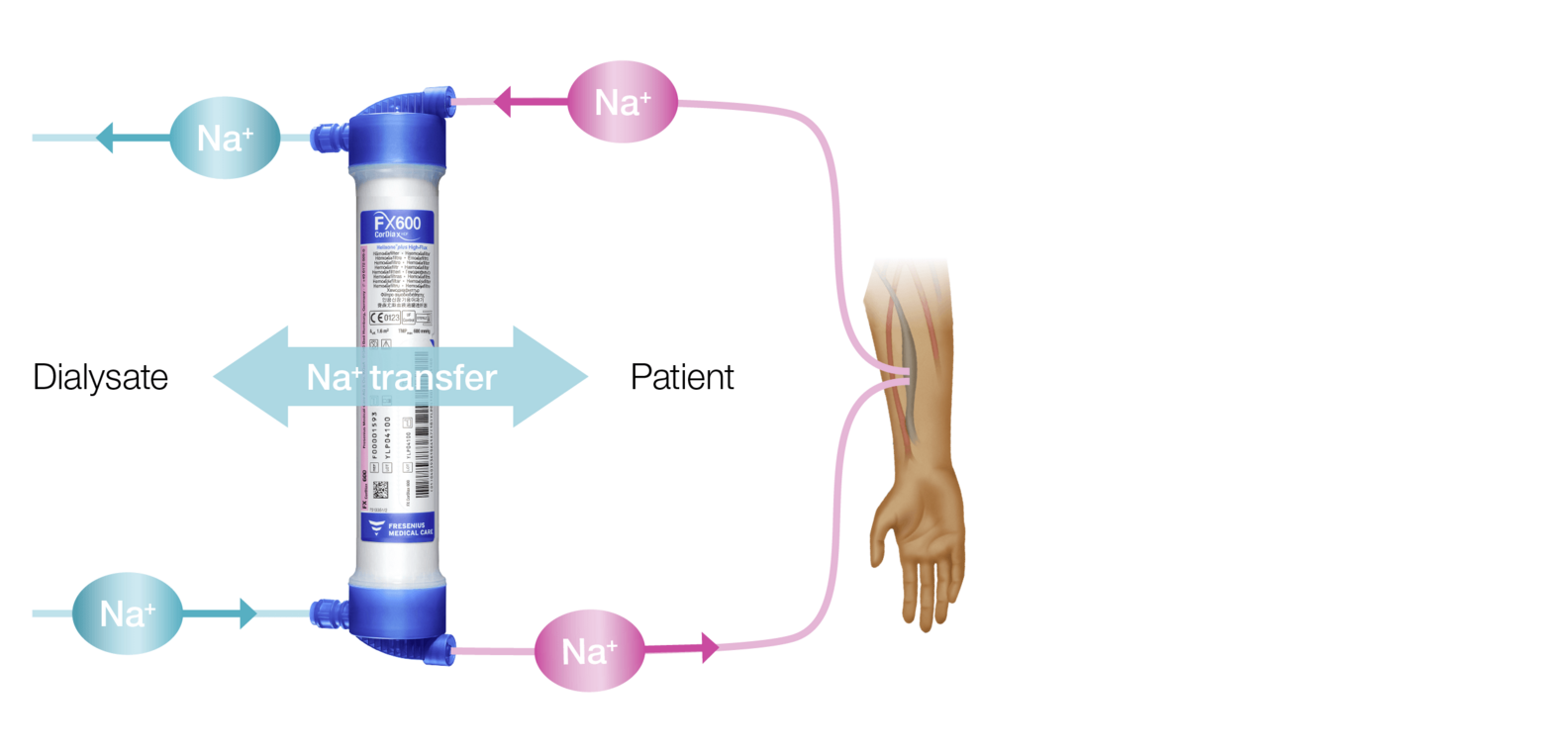 Adaptation en continu du transfert diffusif du sodium