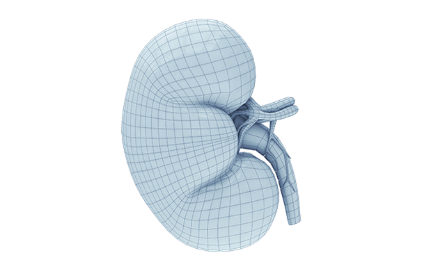 Kidney indications