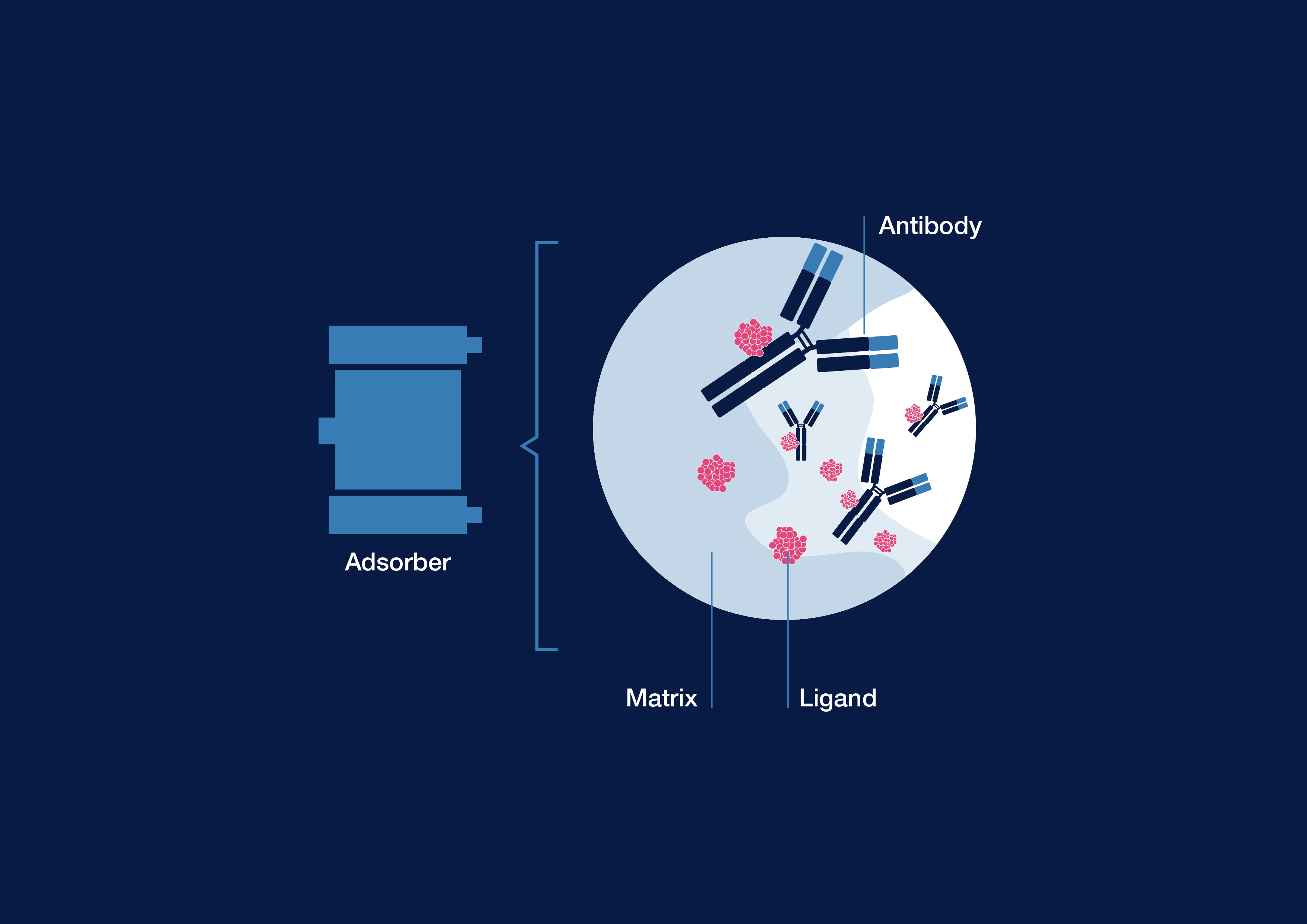 Immunoadsorption